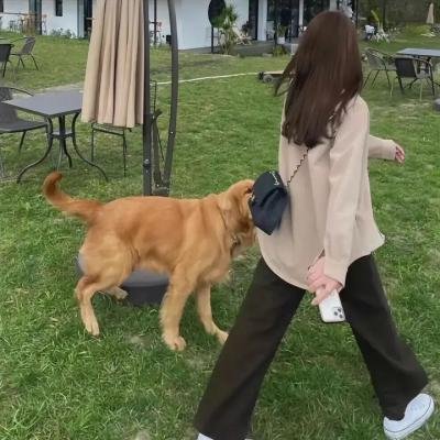 迷失的男孩和皇后